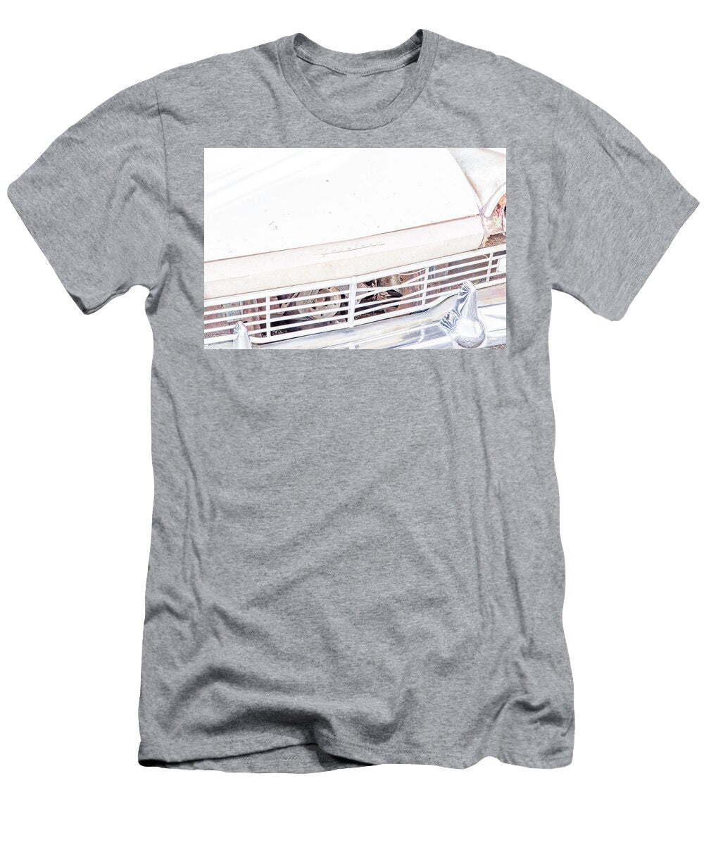 Landscape Pink Fairlane Galisteo Nm B10s Otri Park T-Shirt