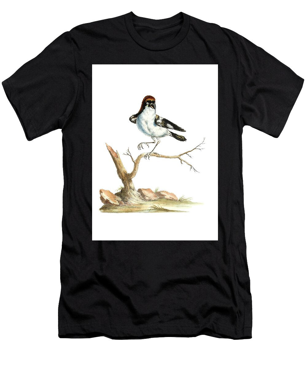 Lanius Ferrugineus Major with Ruffus Head By Saverio Manetti Mango Art T-Shirt