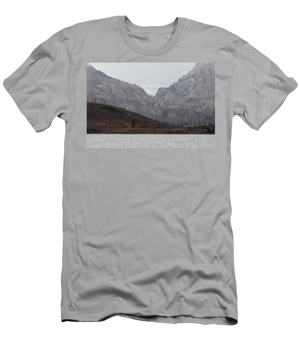Lansdcape Julie Argyle T-Shirt