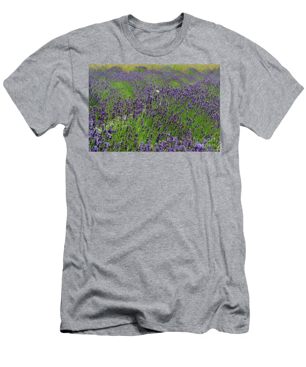 Lavender Field with Queen Annes Lace Amy Lucid T-Shirt