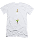 Lesser Twayblade Orchid Sarah Stribbling T-Shirt