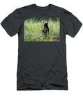 Little Bear Julie Argyle T-Shirt