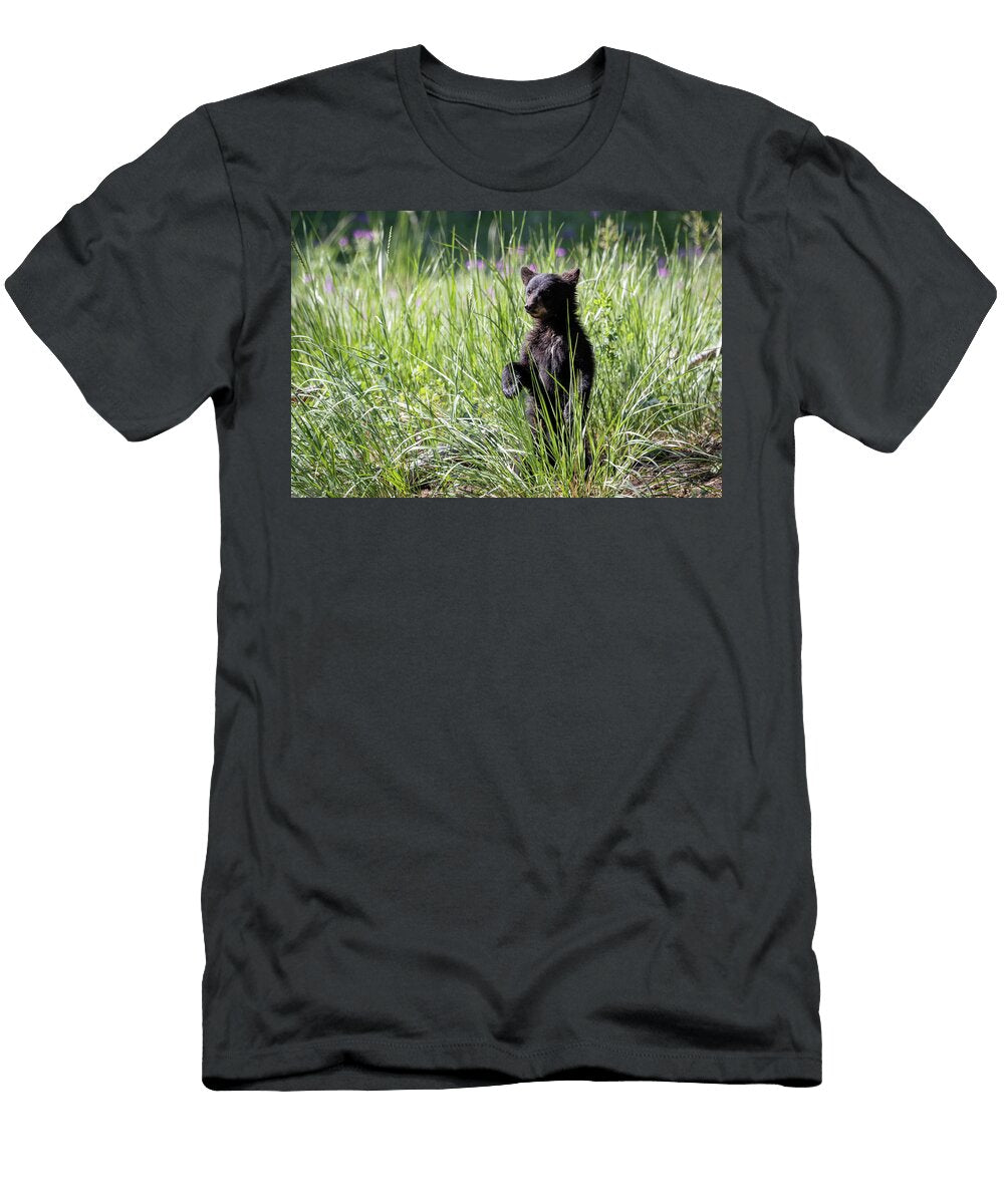 Little Bear Julie Argyle T-Shirt