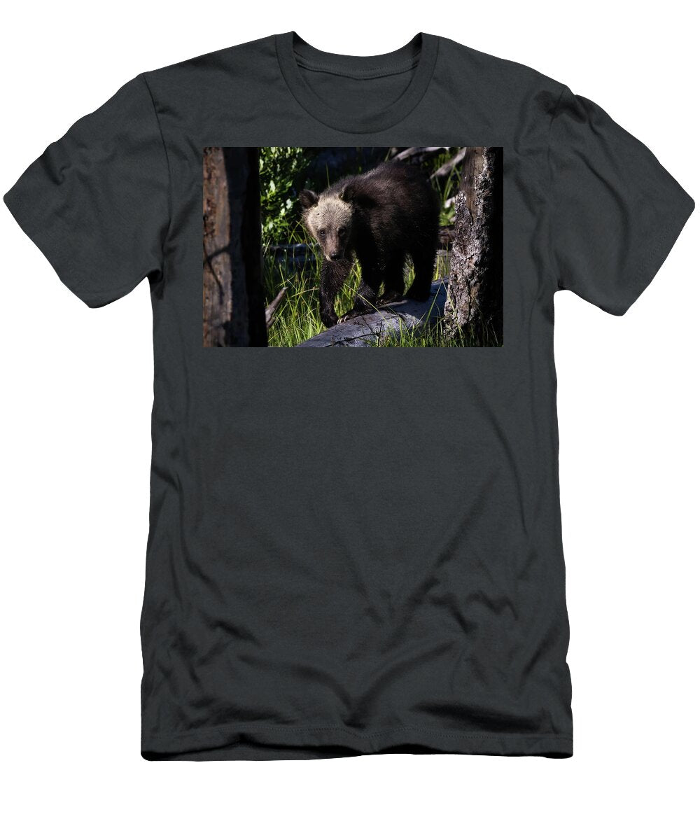 Little Bear Log Walker Julie Argyle T-Shirt