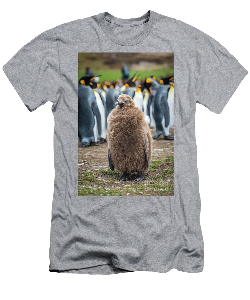Lonely Little King Joann Long T-Shirt