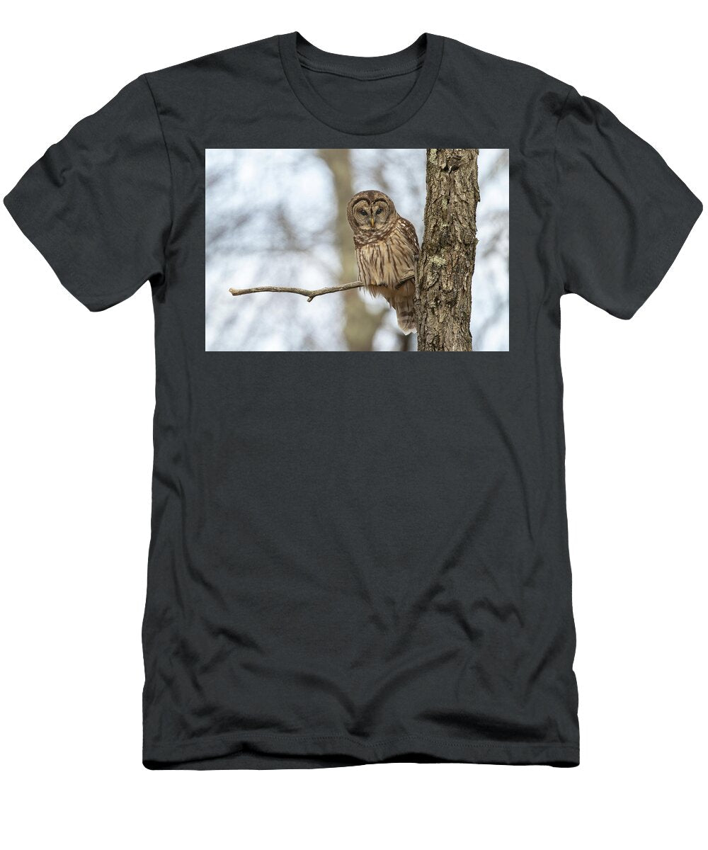 Looking Around Nick Kalathas T-Shirt