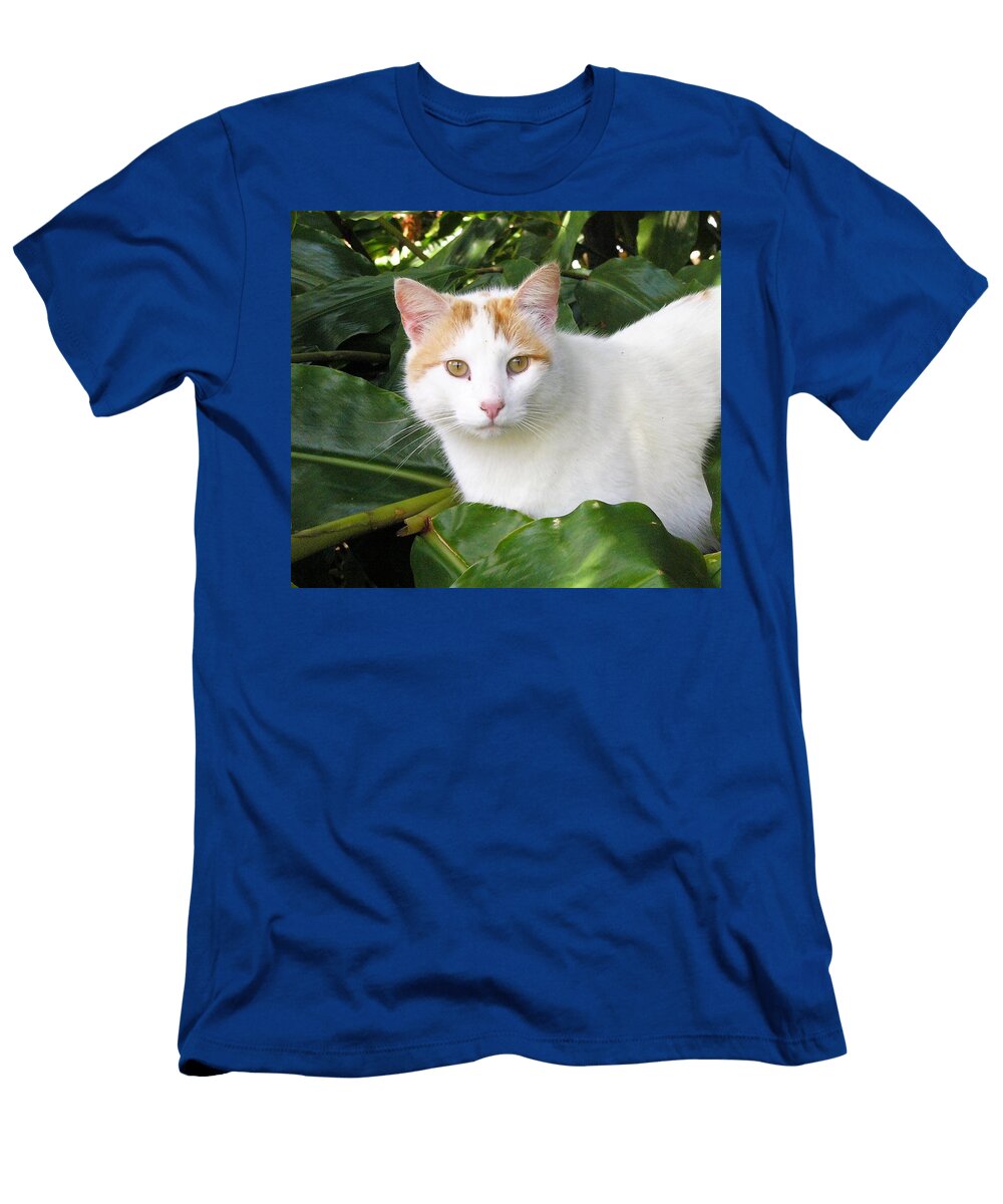 Lucky Cat Pancake T-Shirt