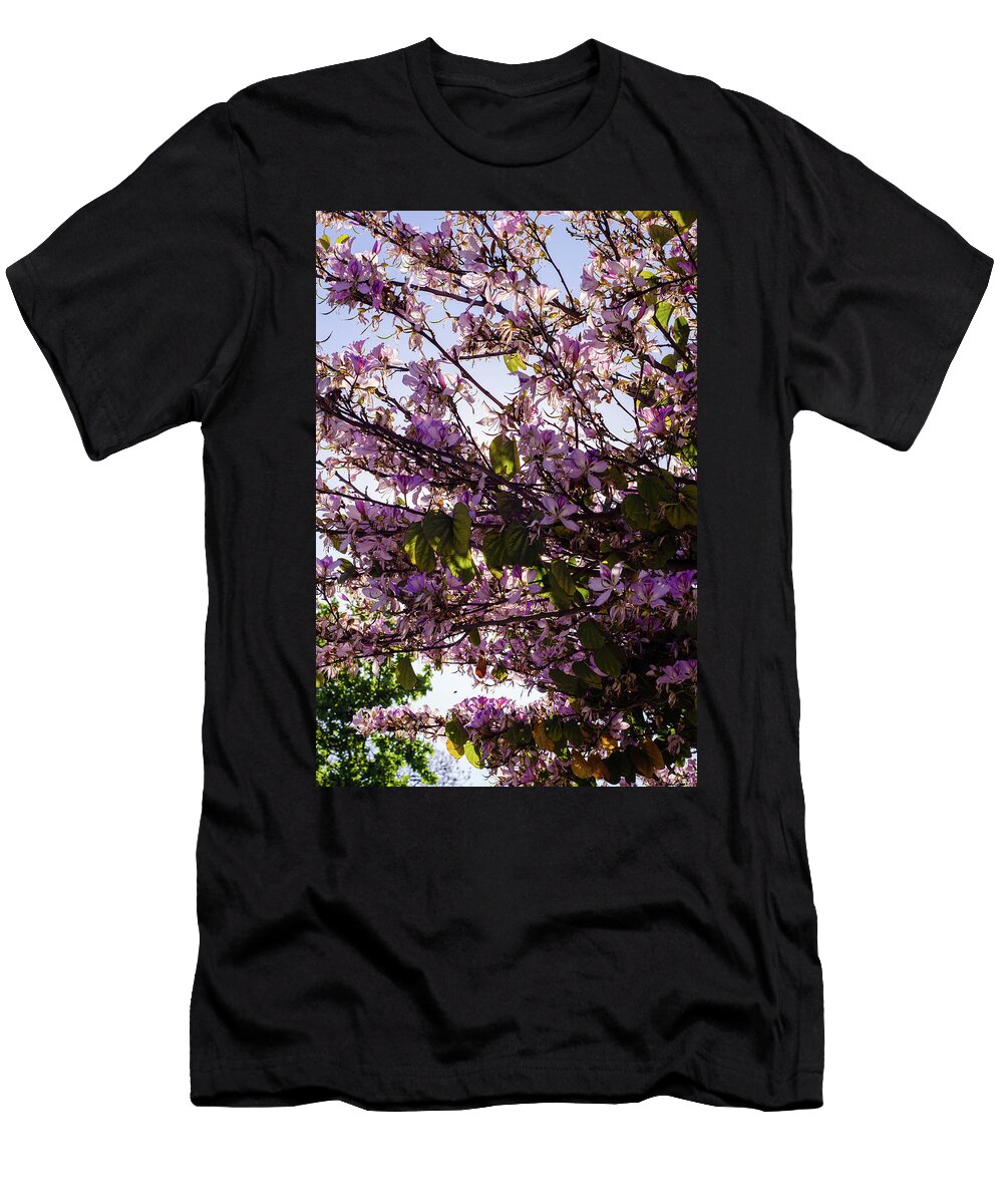 Magic of Spring Andrea Mazzocchetti T-Shirt