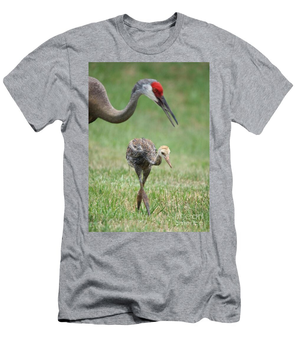Mama and Juvenile Sandhill Crane Carol Groenen T-Shirt