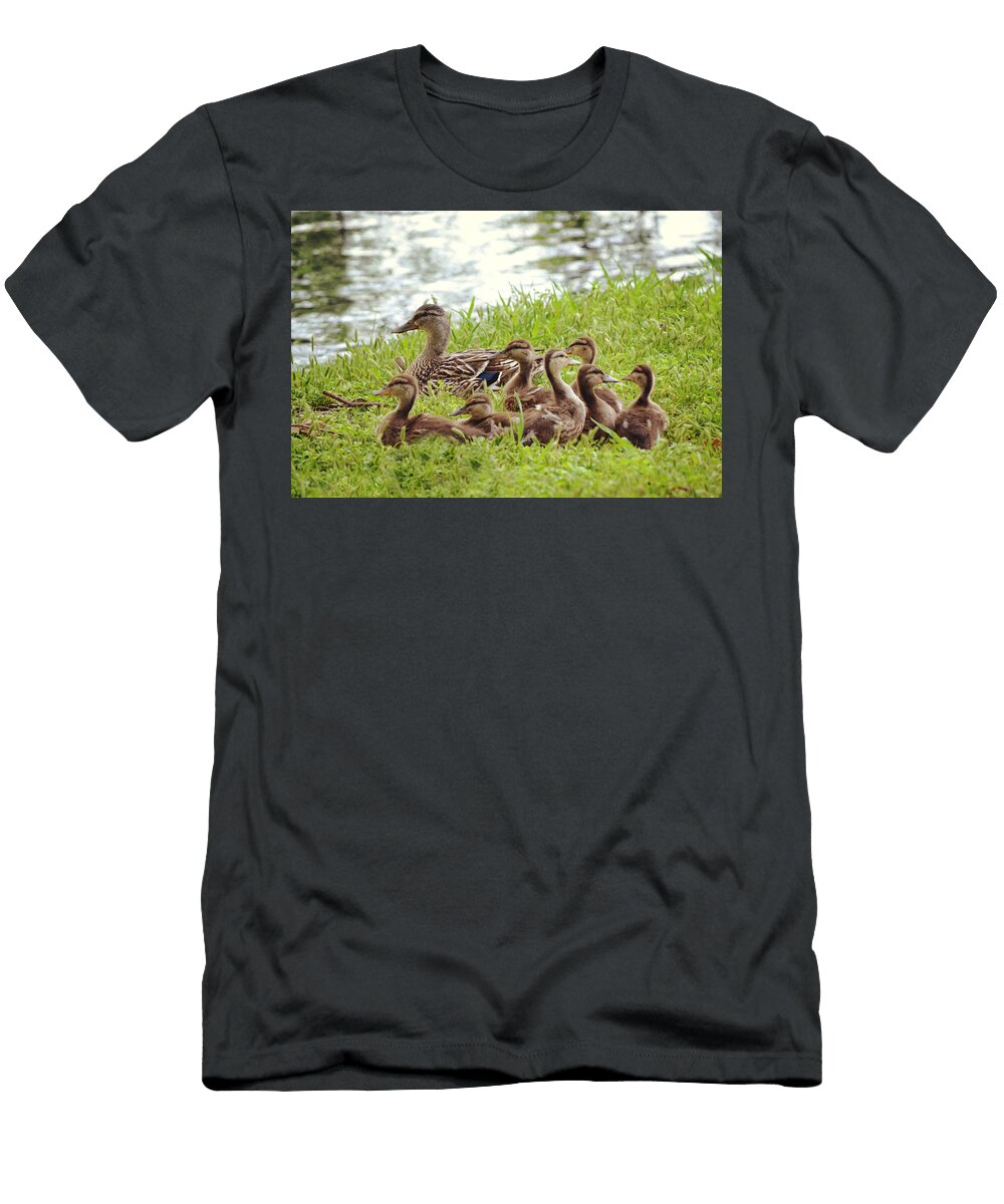 Mama Mallard and Her Clutch of Ducklings Gaby Ethington T-Shirt
