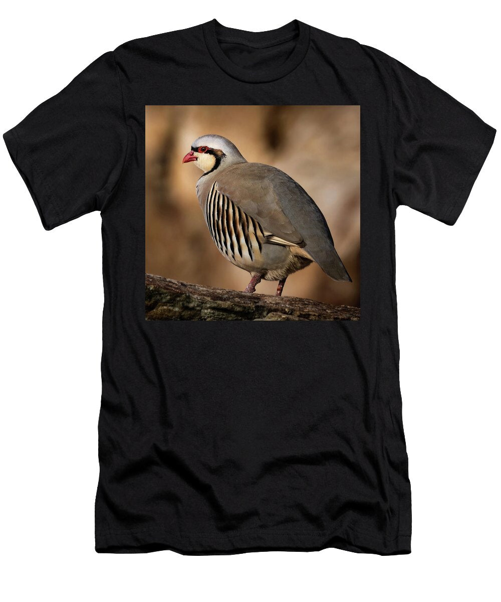 Masked Bandit Ii Julie Argyle T-Shirt