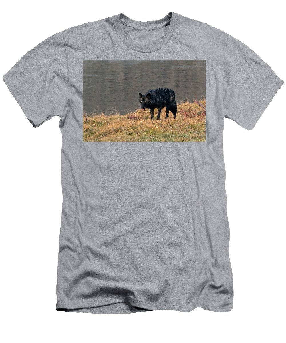 Mesmerized Julie Argyle T-Shirt