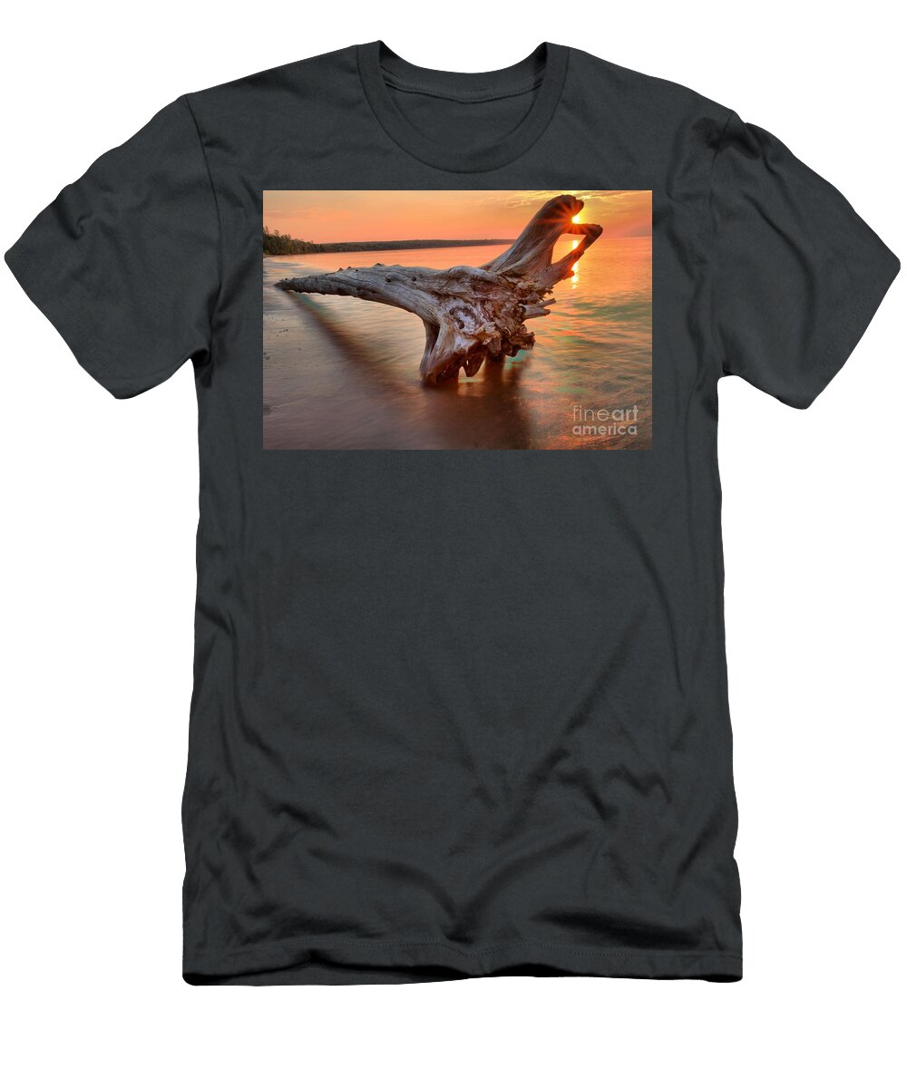 Meyers Beach Driftwood Adam Jewell T-Shirt