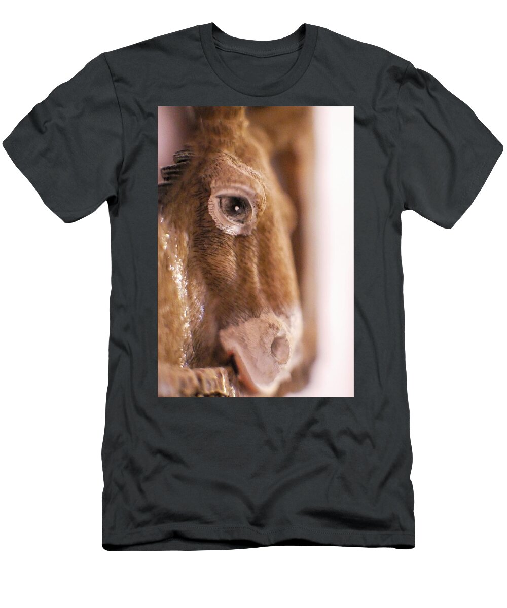 Mi Burrito Antonio Rei T-Shirt