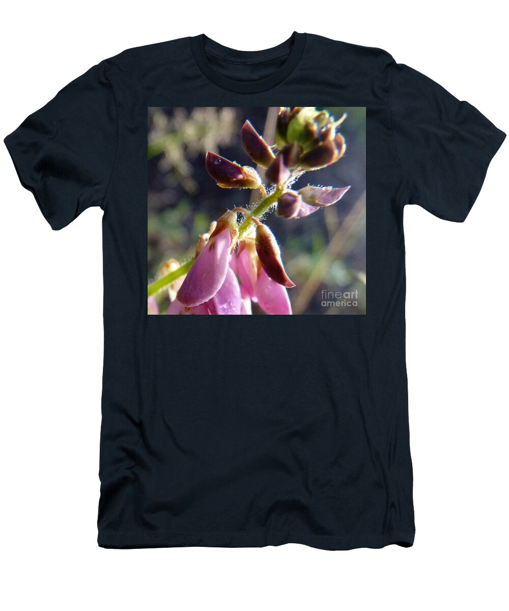 Micro Magic Cat Pancake T-Shirt