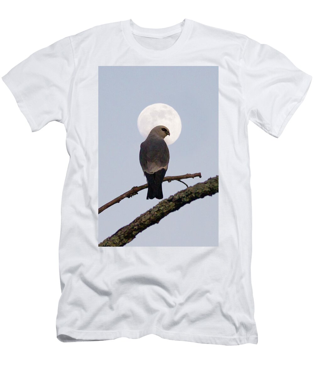 Mississippi Kite Chance Kirby T-Shirt