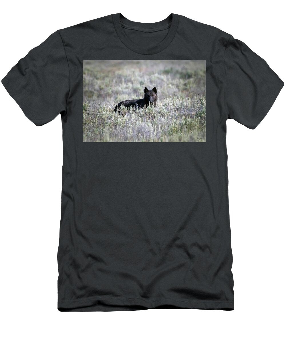 Mollie Julie Argyle T-Shirt