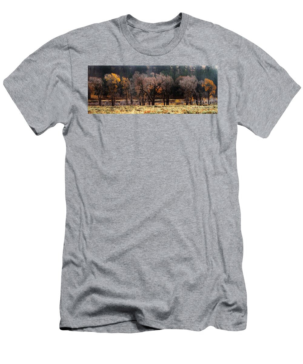 Moms Favorite Julie Argyle T-Shirt