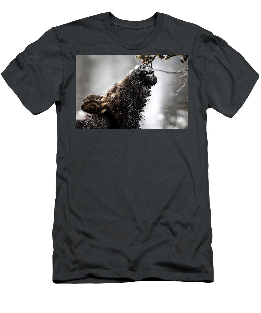 Moose Dust Julie Argyle T-Shirt