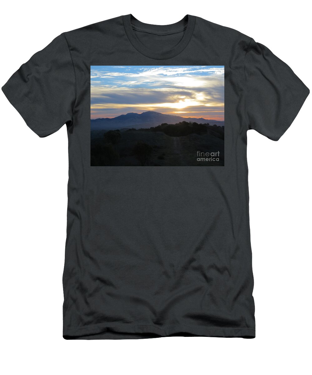 Morning Colors Suzanne Leonard T-Shirt