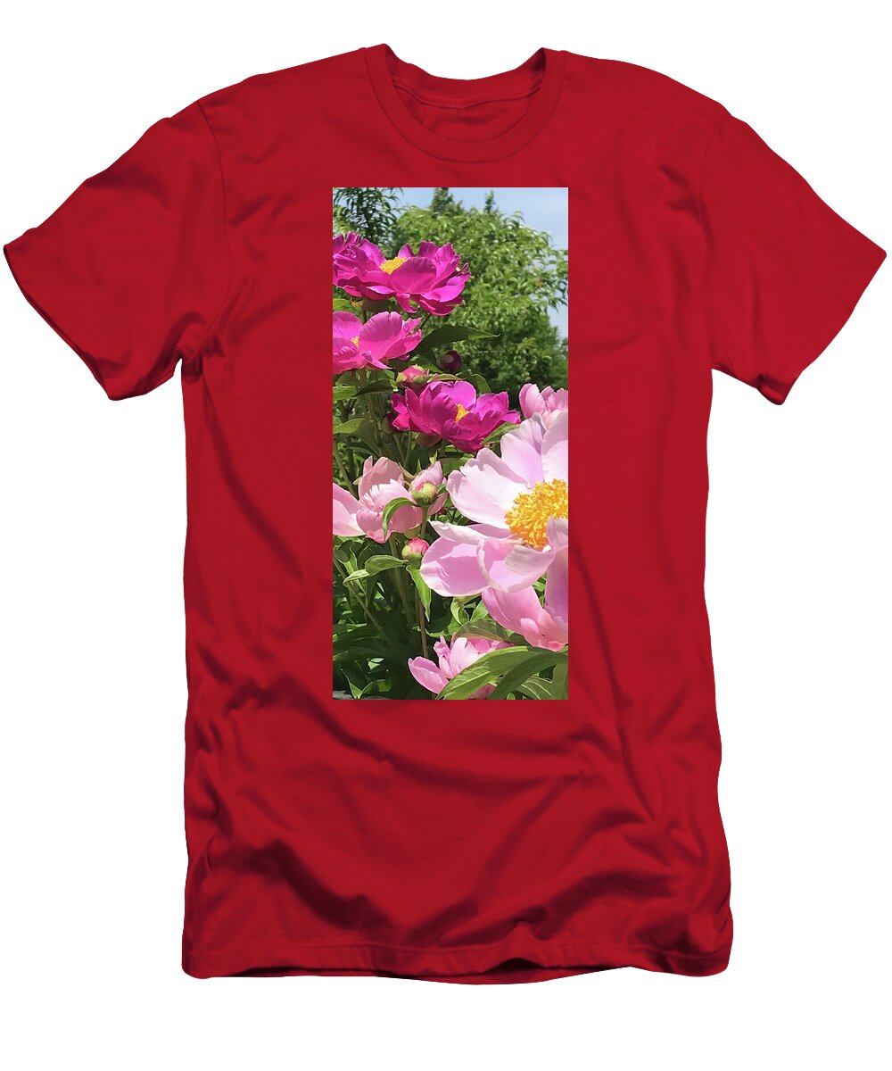 Morning Walk in Oak Park LA Veta Kirby T-Shirt