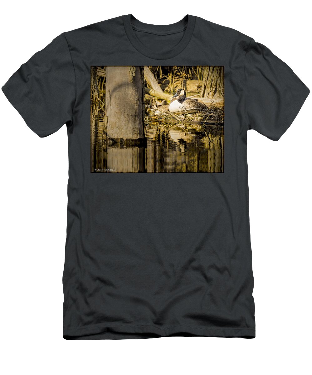 Mother Goose Leeann Mclanegoetz Mclanegoetzstudiollccom T-Shirt