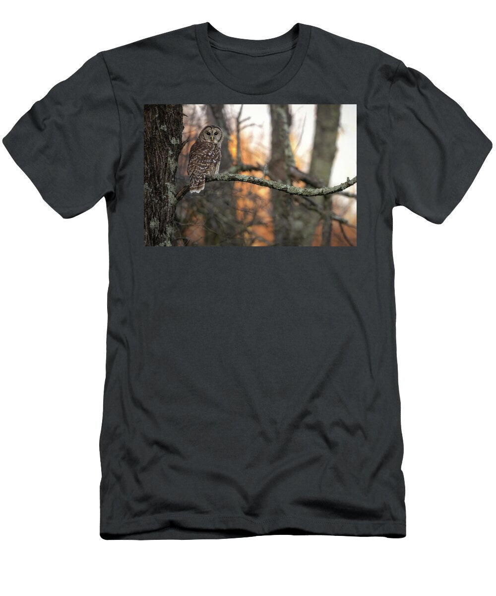 Mountain Sunrise Nick Kalathas Natures Moments T-Shirt