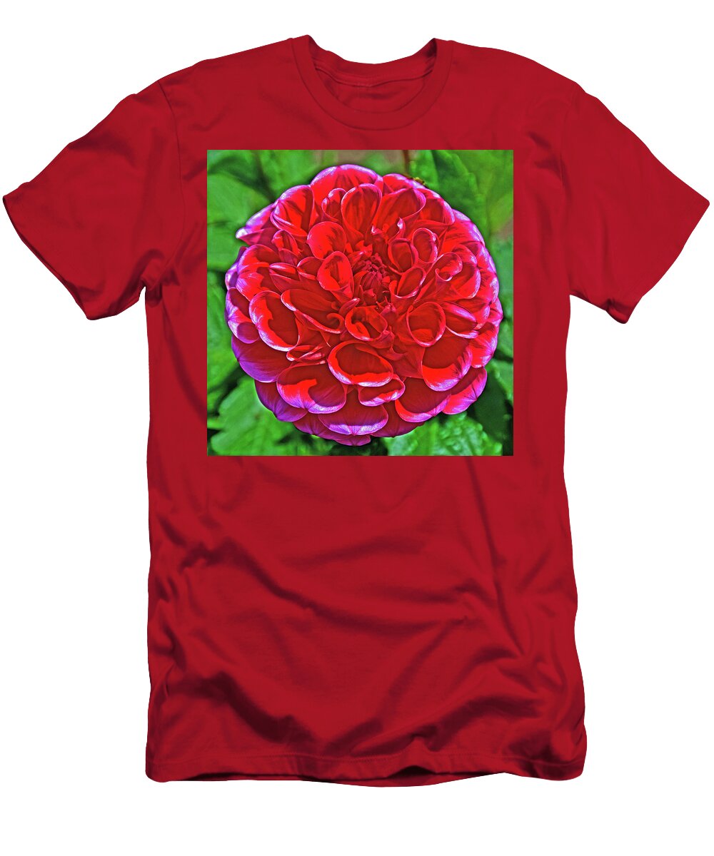 Ms Zelda Ball Dahlia in Golden Gate Park in San Francisco California Ruth Hager T-Shirt