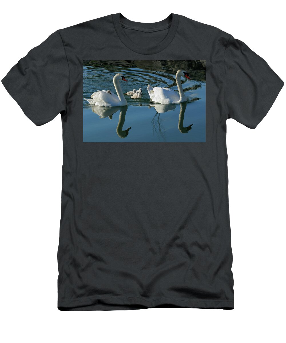 Mute Swan Family of Five Cygnets with One Riding on the Back of Reimar Gaertner T-Shirt