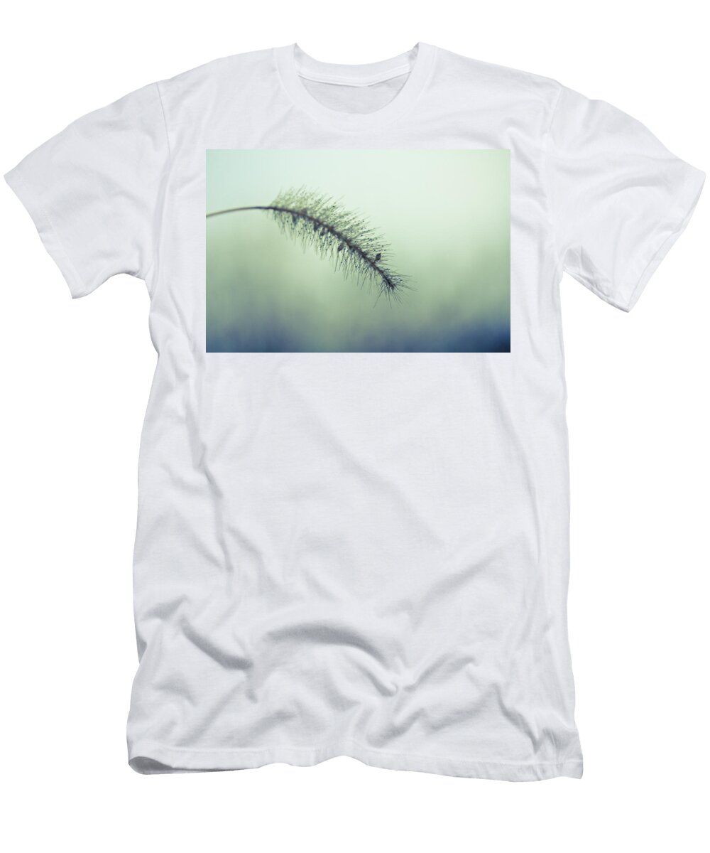 Muted Beauty Shane Holsclaw T-Shirt