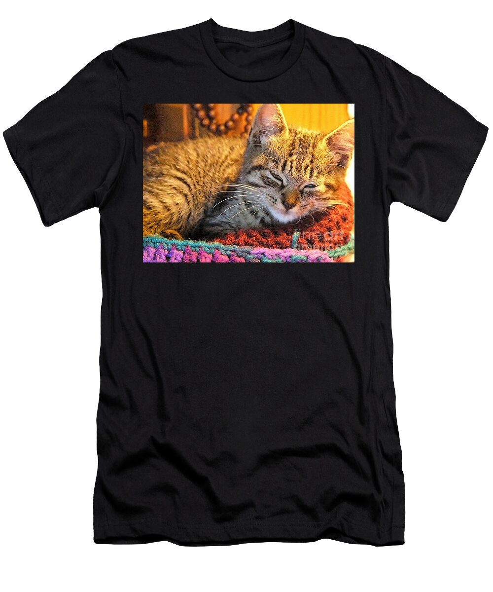Nap Time Again Cat Pancake T-Shirt