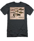 Natural History of the Animal Kingdom Motionage Designs T-Shirt