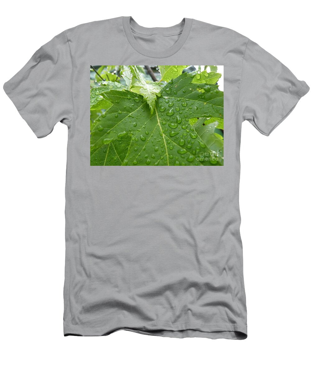 Nature Knows Cat Pancake T-Shirt