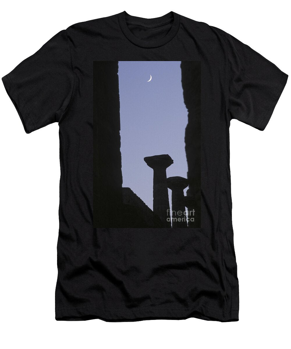 Nettuno Temple Paestum Archaeological Area Campania Italy T-Shirt