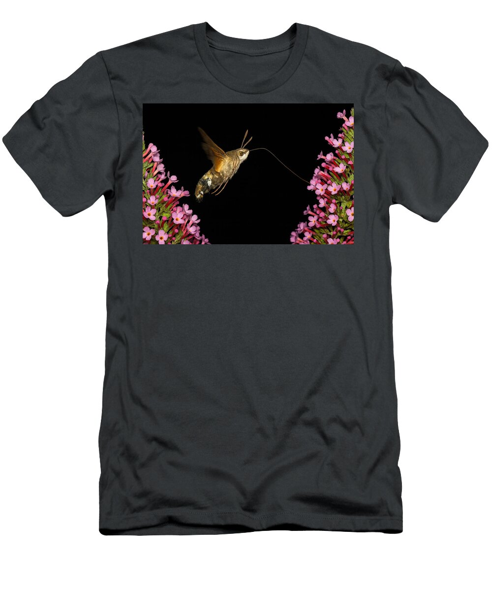 Nighttime Hummingbird Moth Amongst Flowers Mario G Rivera T-Shirt