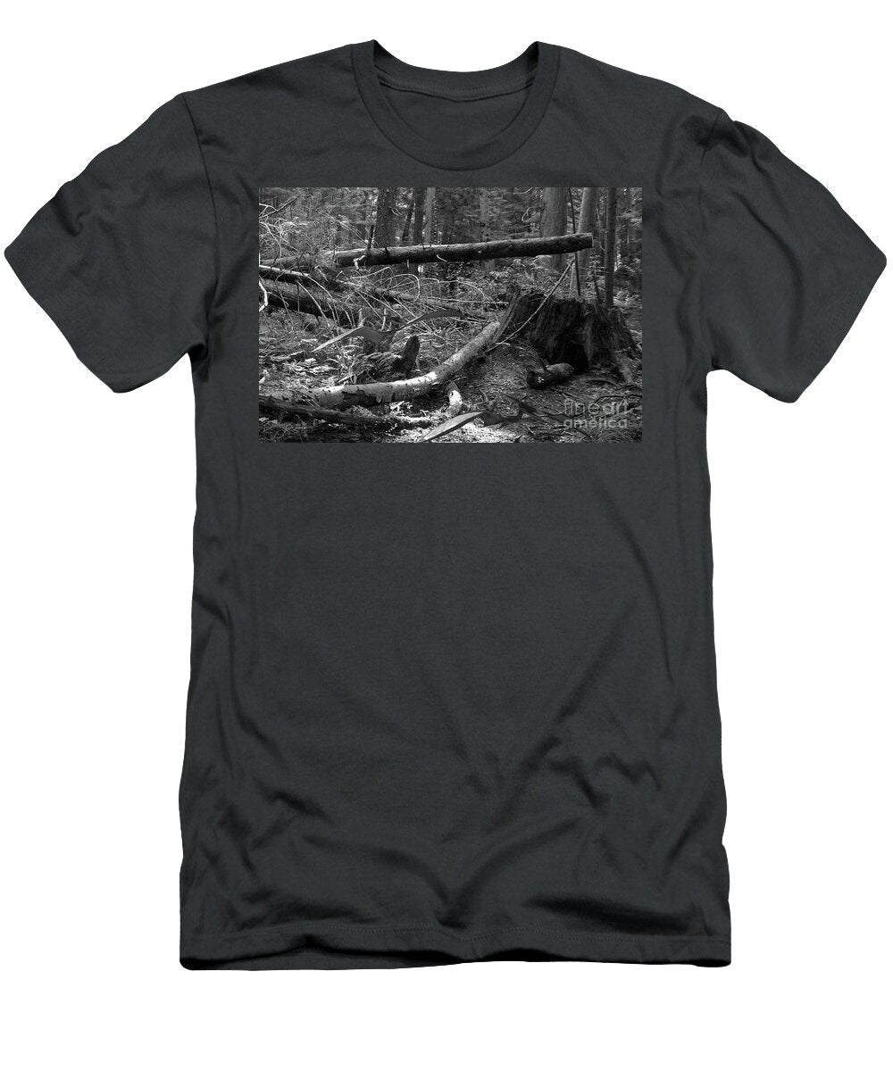 Nope Nothing There Simone Lake T-Shirt