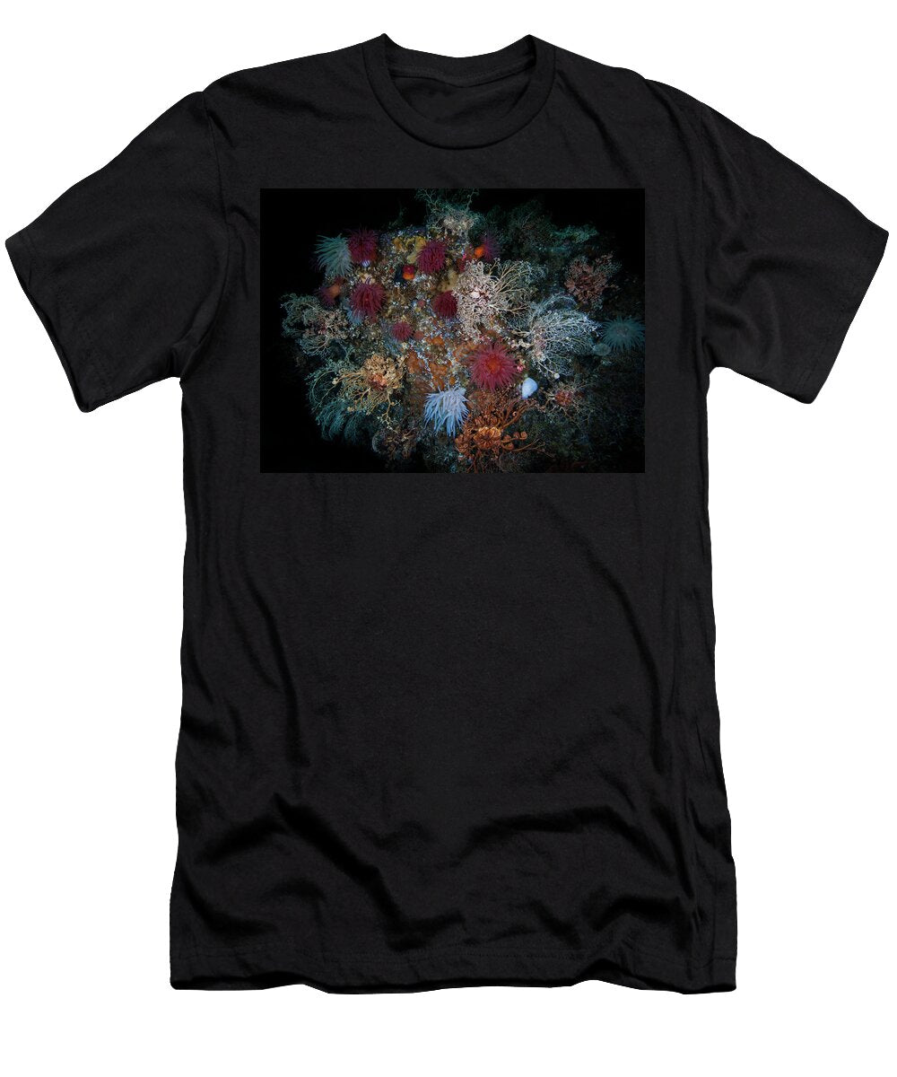 Northern Basket Stars and Crimson Anemones Baranof Sitka David Hall Natureplcom T-Shirt