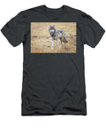 October Wolf Julie Argyle T-Shirt