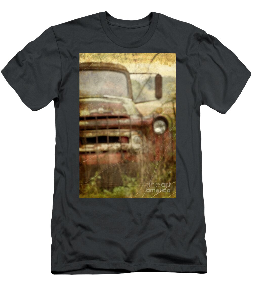 Old and Rusted Margie Hurwich T-Shirt