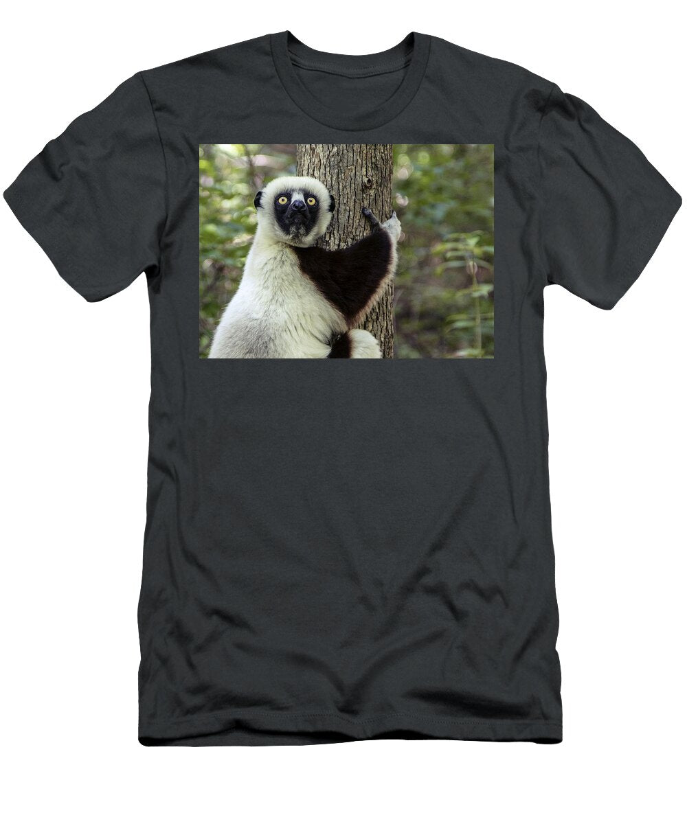 One of the Star Attractions At the Duke Lemur Center in Durham North Carolina Les Classics T-Shirt