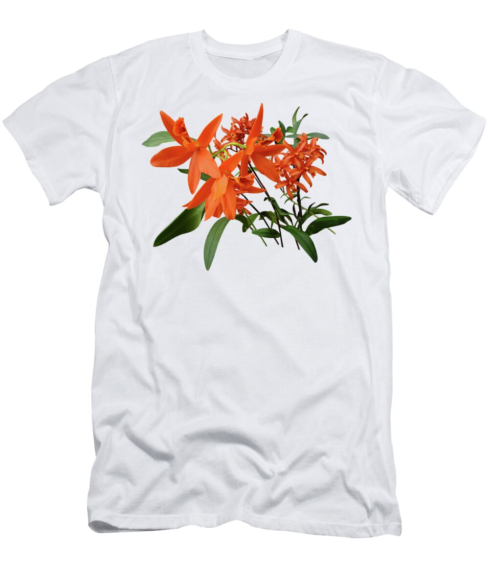 Orange Epidendrum Orchid Susan Savad T-Shirt