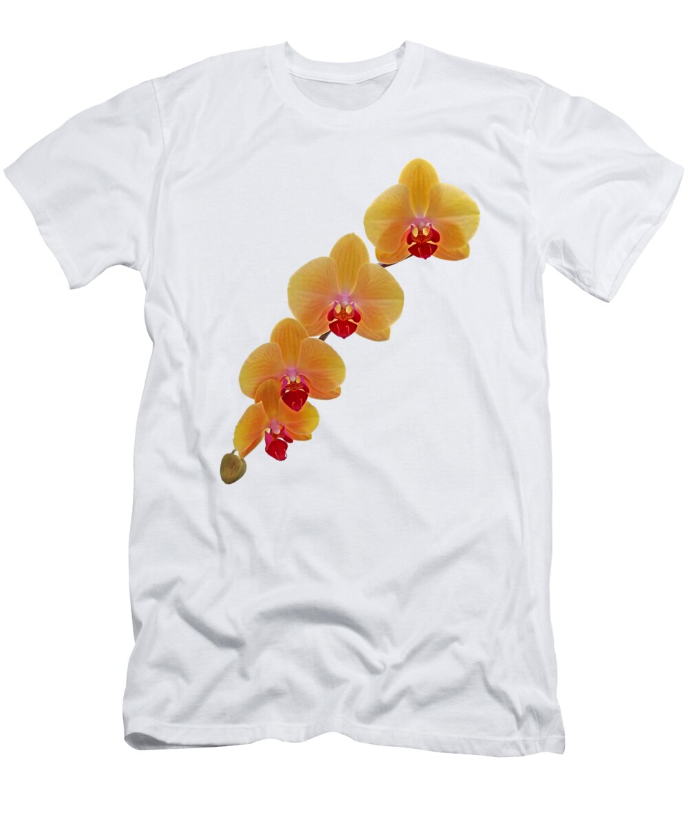 Orange Orchid Cascade on Black Gill Billington T-Shirt