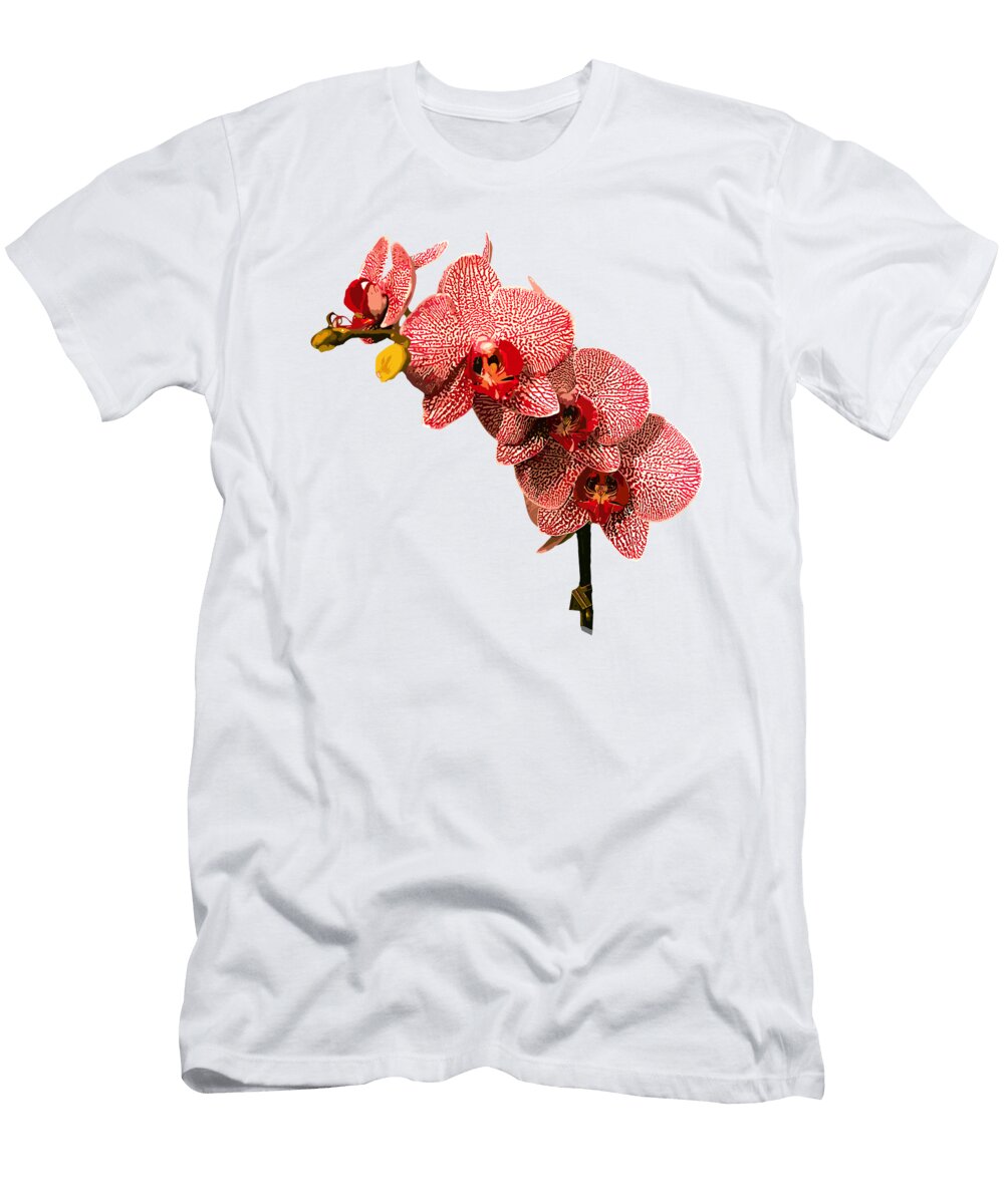 Orchid Flower Lover Beautiful Painting Pink Art Calm Roger Kuo Art T-Shirt