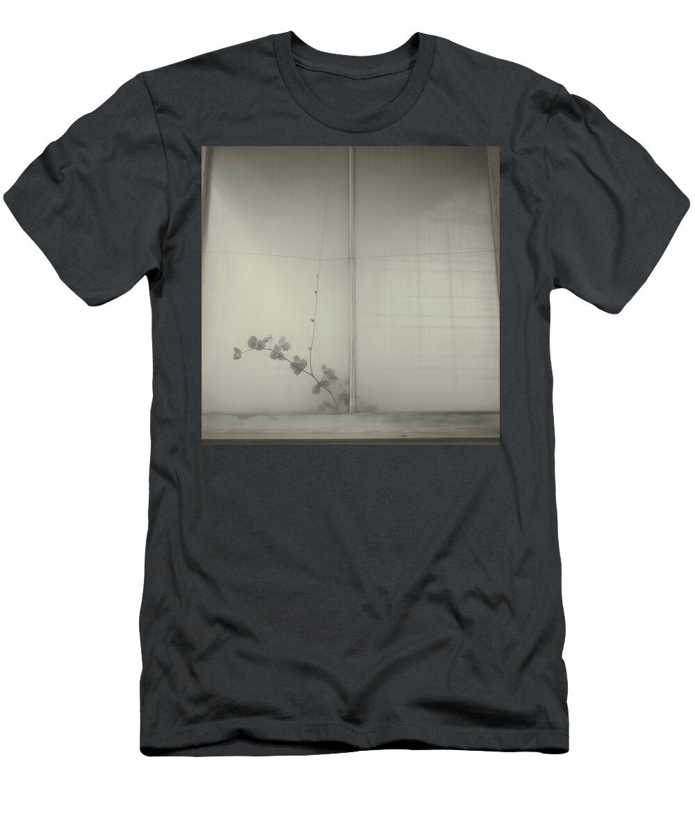 Orchid Next to a Window Fbw 267 Yo Pedro T-Shirt