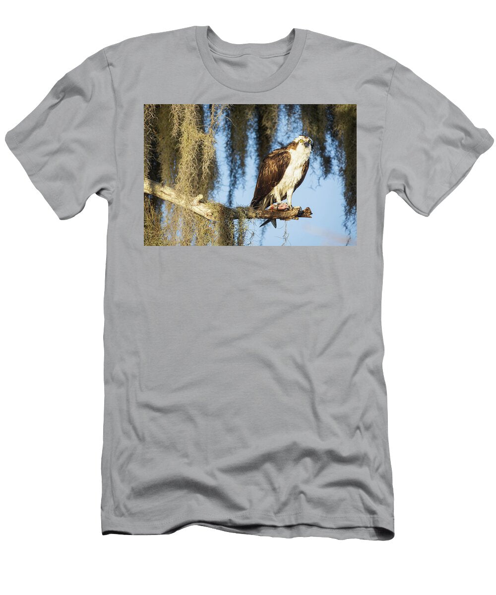 Osprey Clutching Fish Fran Gallogly T-Shirt