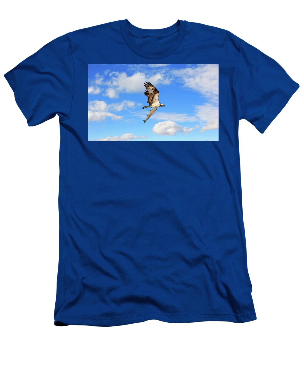 Osprey Flying with a Large Fish in Talons in the Clouds Patrick Wolf T-Shirt