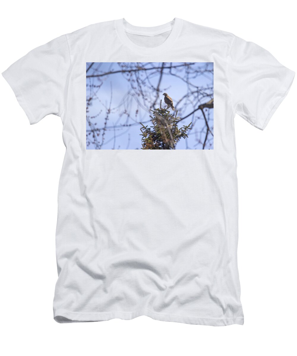 Osprey Overwatch Spencer Bush T-Shirt