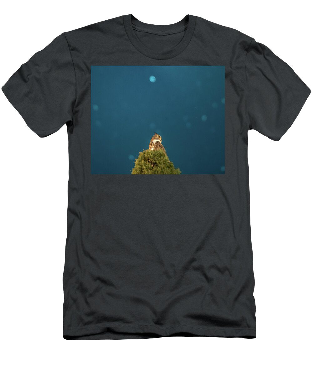 Overwatch Taylor Axtell T-Shirt