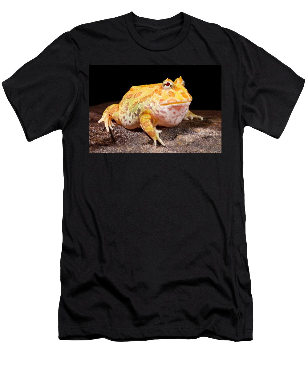 Pac Man Frog Ceratophrys David Kenny T-Shirt