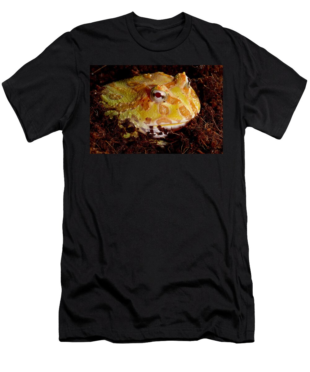 Pac Man Frog David Kenny T-Shirt